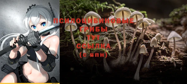 mdma Мегион